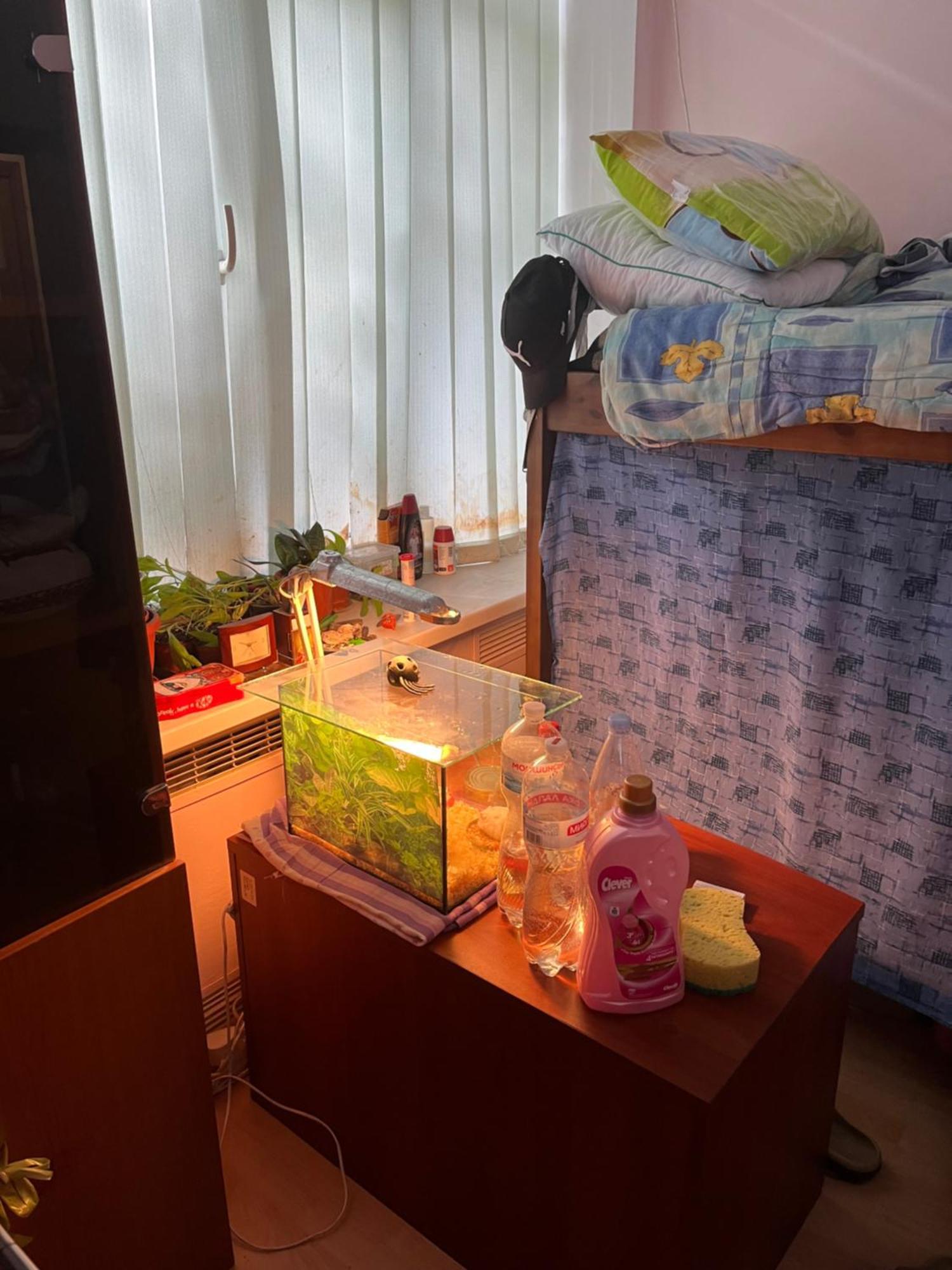 Ararat-Holosiivskyi Hostel Kiev Dış mekan fotoğraf